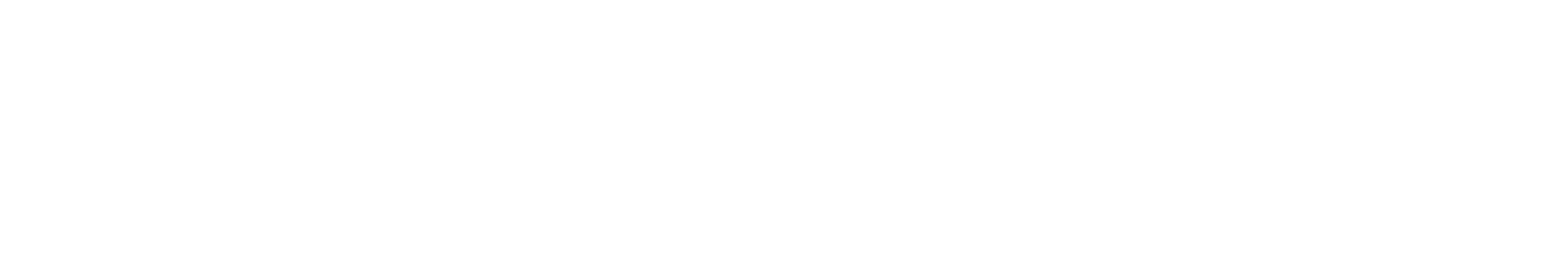 Toyota Logo Wht